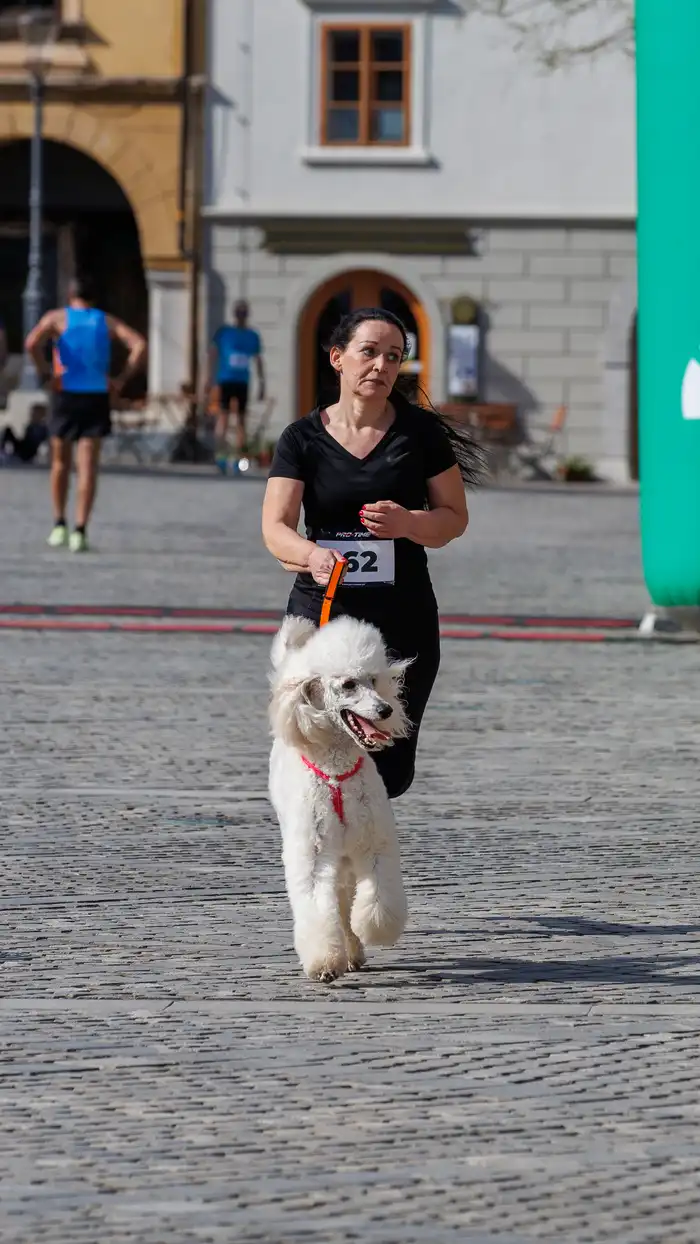 151775665533avtor-Jani-Brajkovič JB_M3230.webp-nm-tek.si